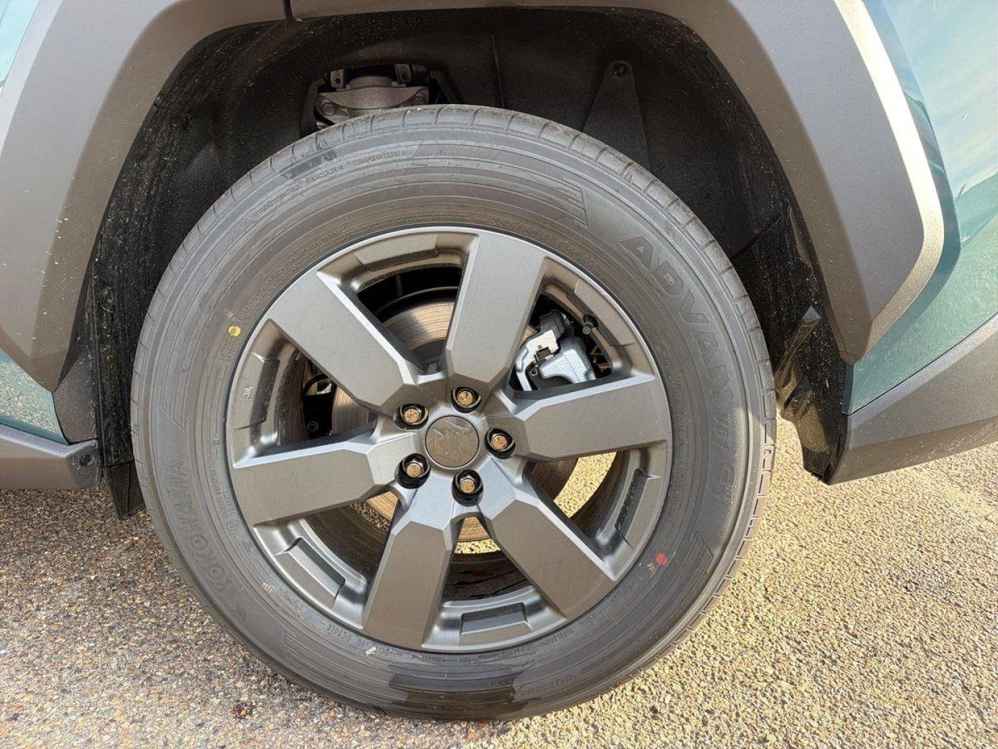 suzuki - Visuel 8