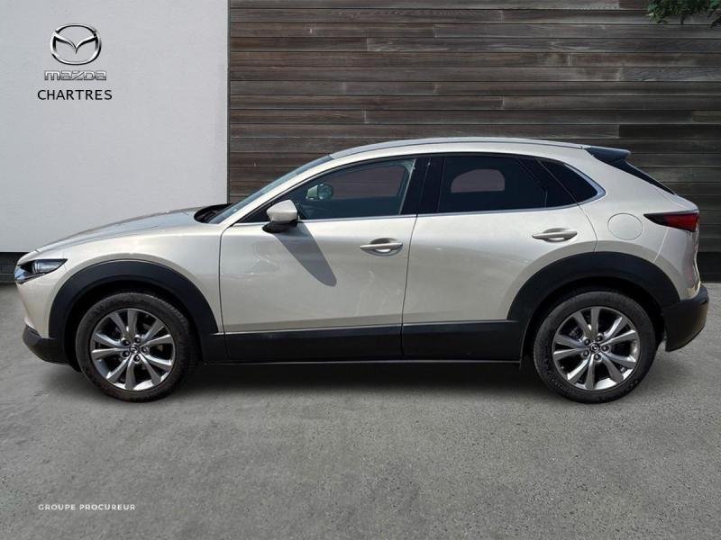 mazda - Visuel 4