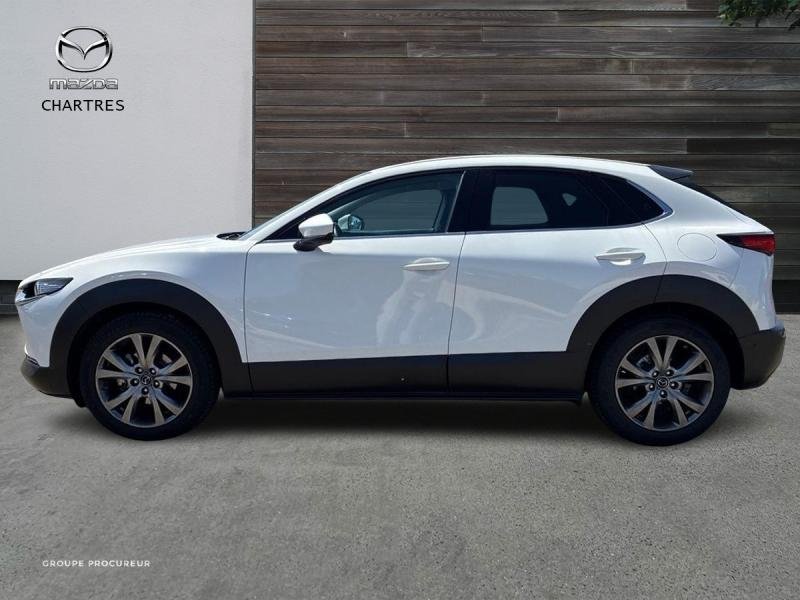mazda - Visuel 4