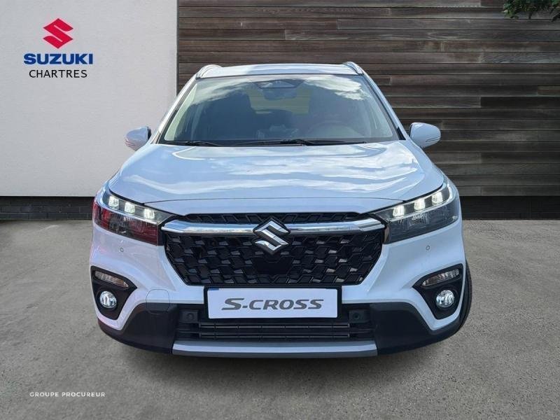 suzuki - Visuel 1