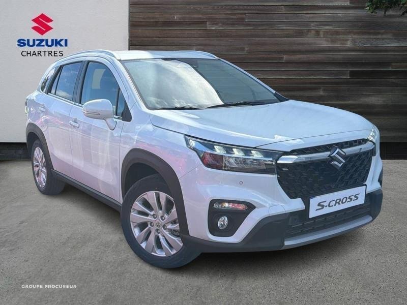 suzuki - Visuel 2