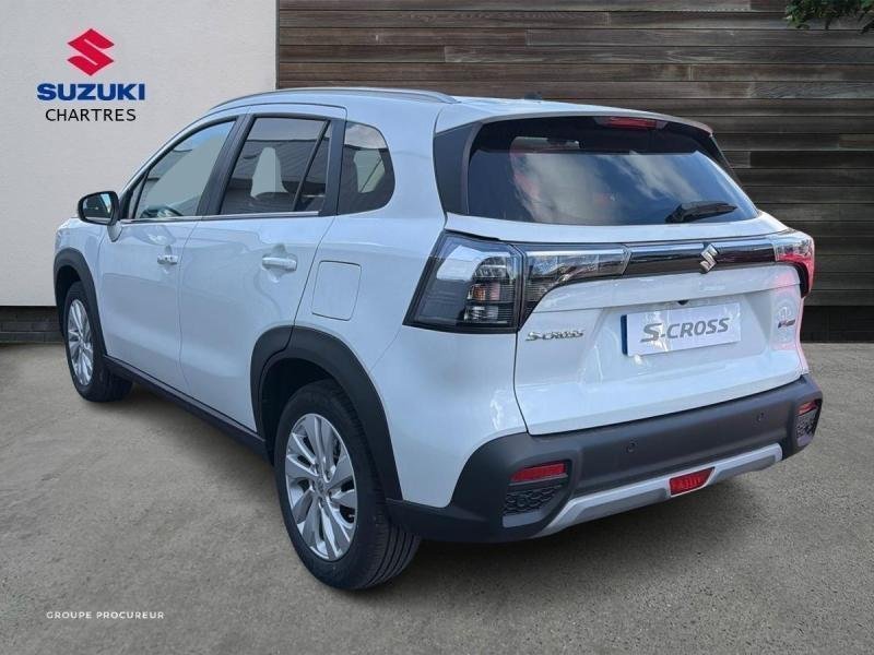 suzuki - Visuel 3