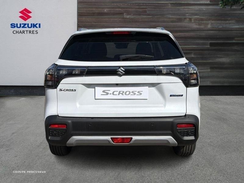 suzuki - Visuel 4