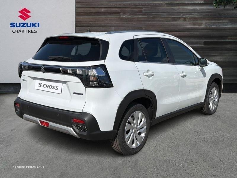 suzuki - Visuel 5
