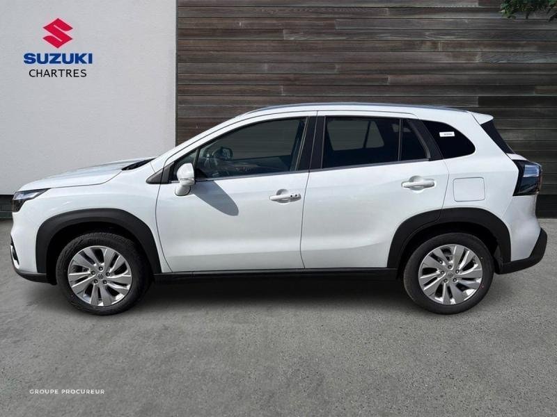 suzuki - Visuel 6