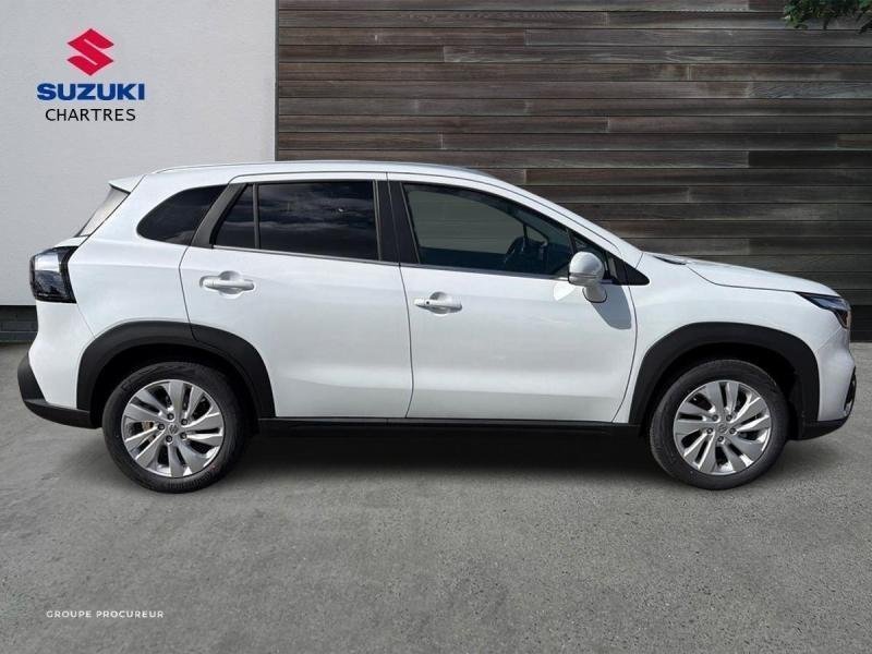 suzuki - Visuel 7