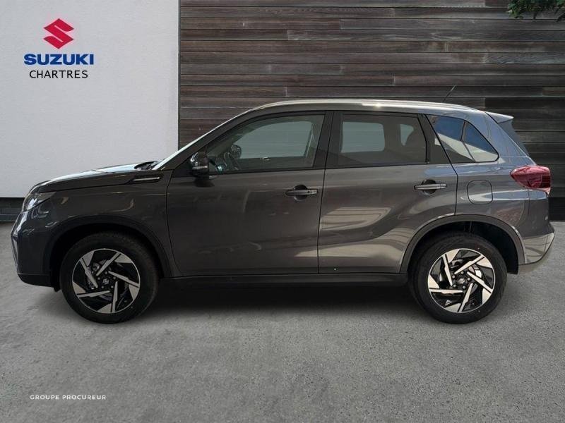suzuki - Visuel 3