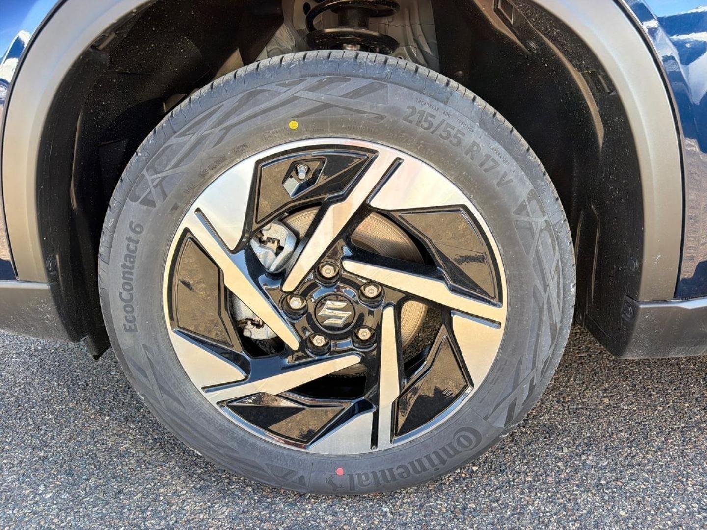suzuki - Visuel 9