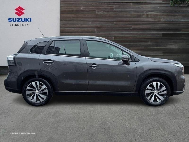 suzuki - Visuel 3