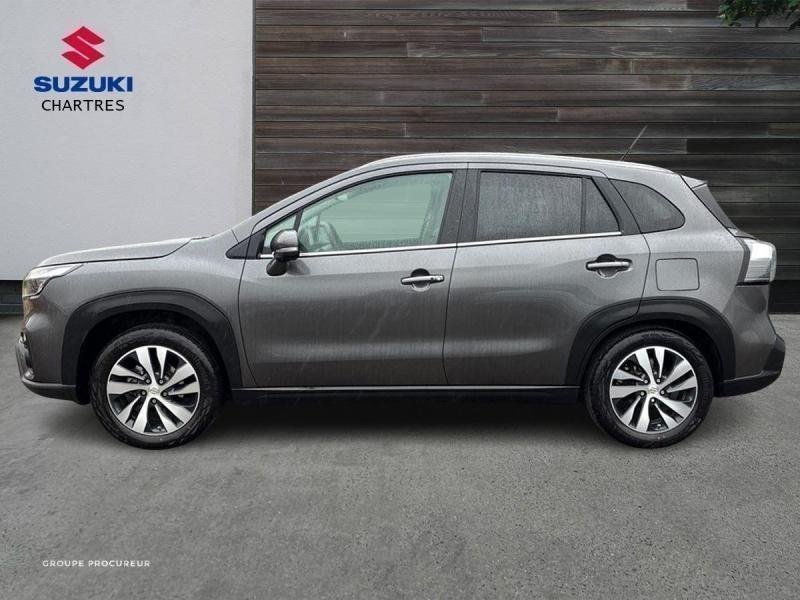 suzuki - Visuel 4