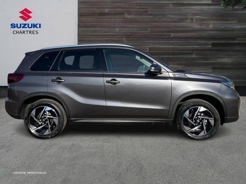 suzuki - Visuel 3