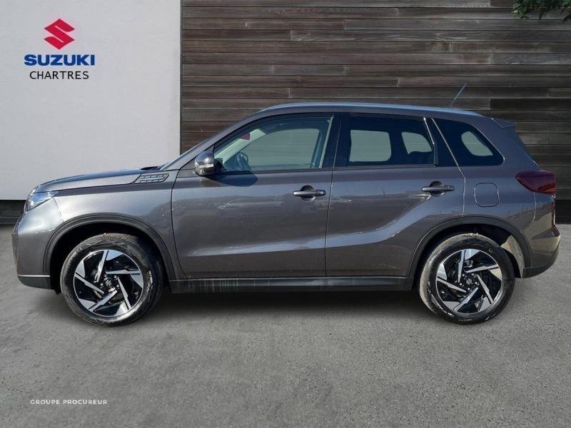 suzuki - Visuel 4